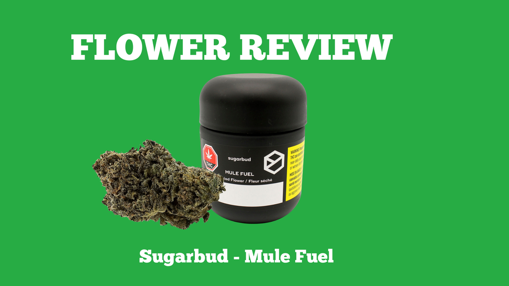 Flower Review - The Potery - Mule Fuel.png