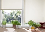 Honeycomb Window Shades Calgary by Fenstermann LLC