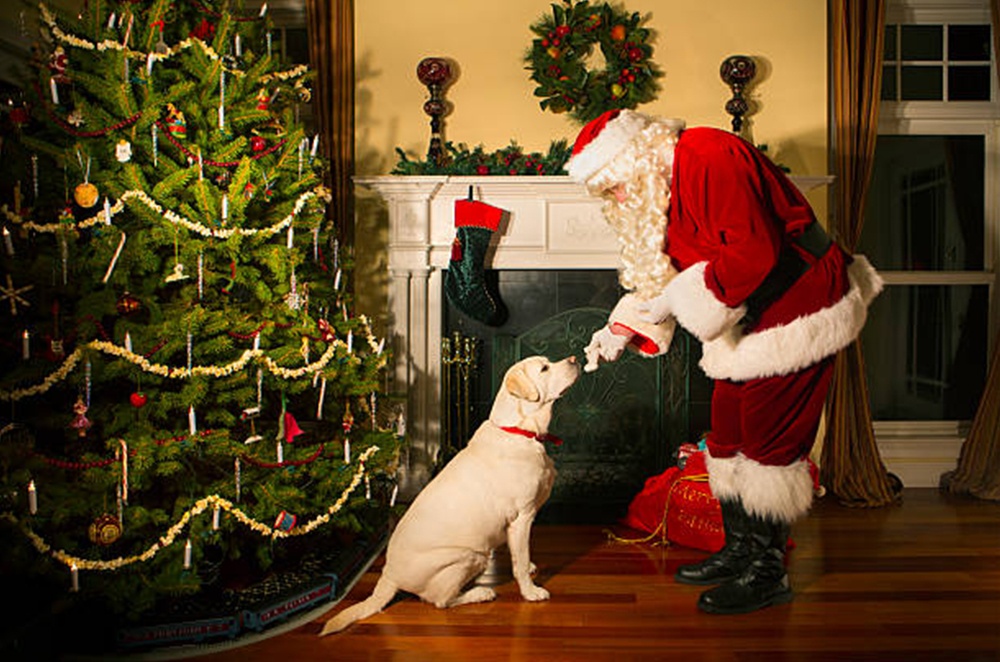 Property Transaction Tuesday Mold Talk: Indoor Air Quality on Santas Nice List it Should Be - Blog by Protective Environmental Engineering Services, Inc. (PEESI Engineering)