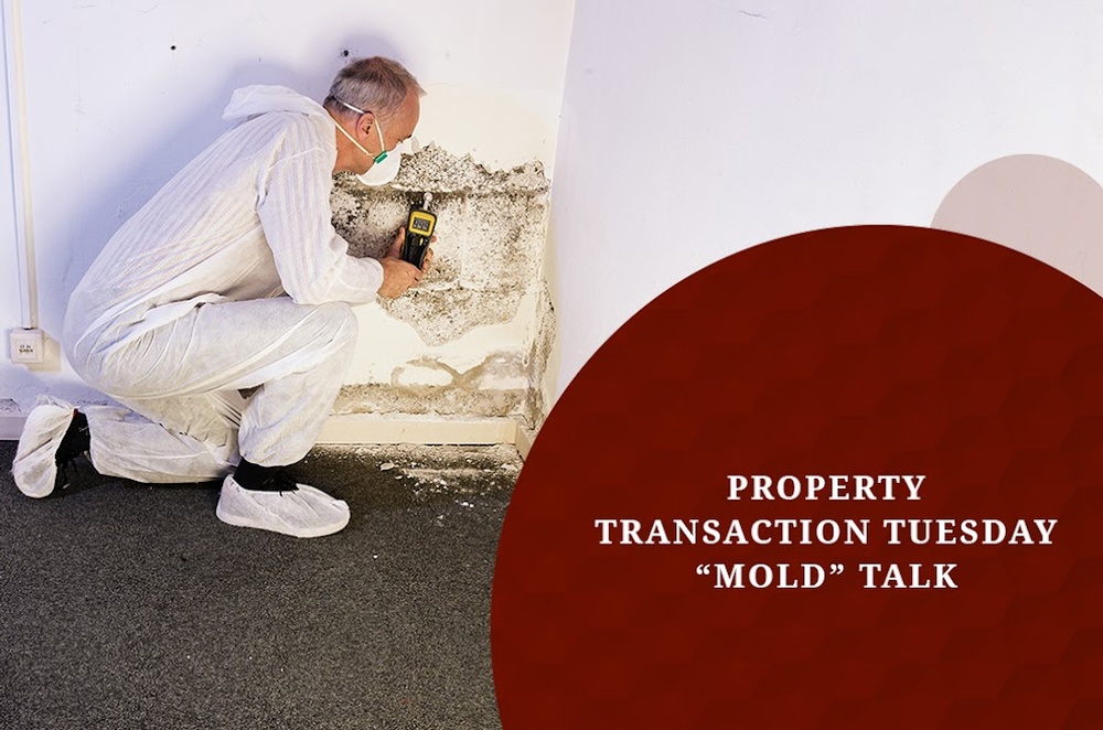 Property Transaction Tuesday Mold Talk - Blog by Protective Environmental Engineering Services, Inc. (PEESI Engineering)