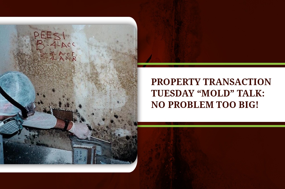 Property Transaction Tuesday Mold Talk: No Problem Too Big - Blog by Protective Environmental Engineering Services, Inc. (PEESI Engineering)