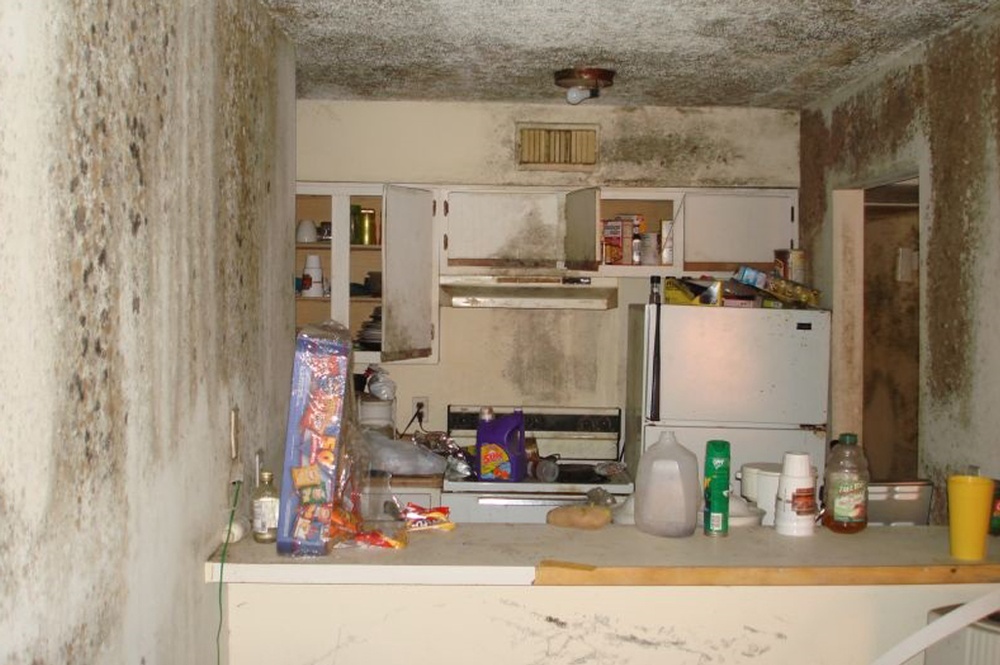 Property Transaction Tuesday Mold Talk: Previously Water Damaged Property - Blog by Protective Environmental Engineering Services, Inc. (PEESI Engineering)