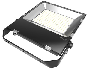 Flood Light - Outdoor Solar LED Lighting - Transportation Solutions and Lighting, Inc
