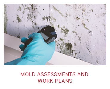 Mold Assessments and Work Plans    Yorktown Heights