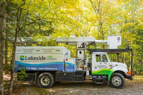 Tree Services Greater Simcoe County - Lakeside Tree Experts