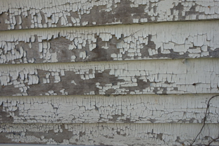 Lead Paint Inspection (3rd Party)