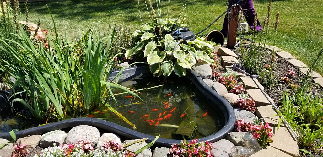 balanced home care clinton township