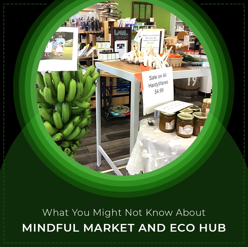 Blog by Mindful Market and Eco Hub