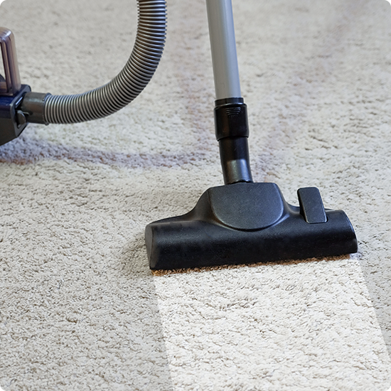 Steam & Carpet Cleaning