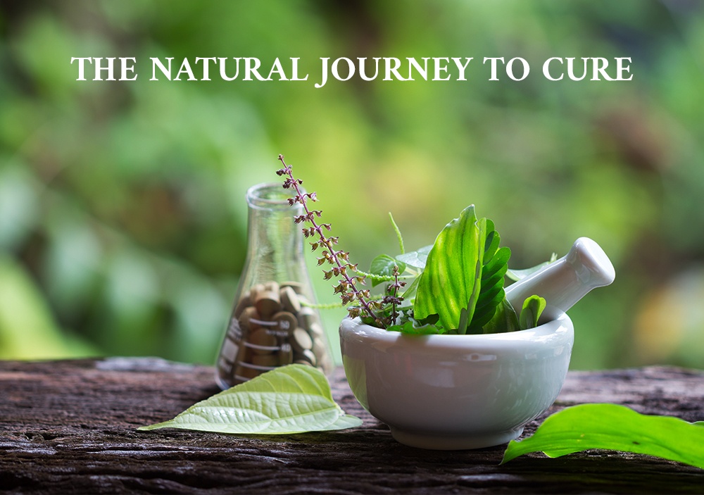 The Natural Journey to Cure - Blog by Santhigram Kerala Ayurveda