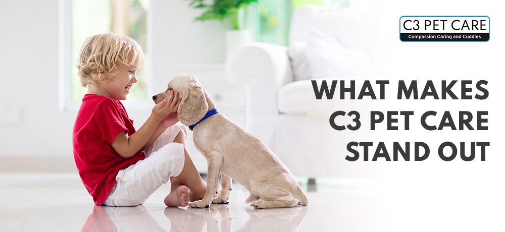 Announcing The New Website - C3 Pet Care