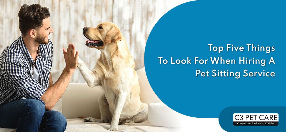 How This New Pet Care Trend Would Benefit You