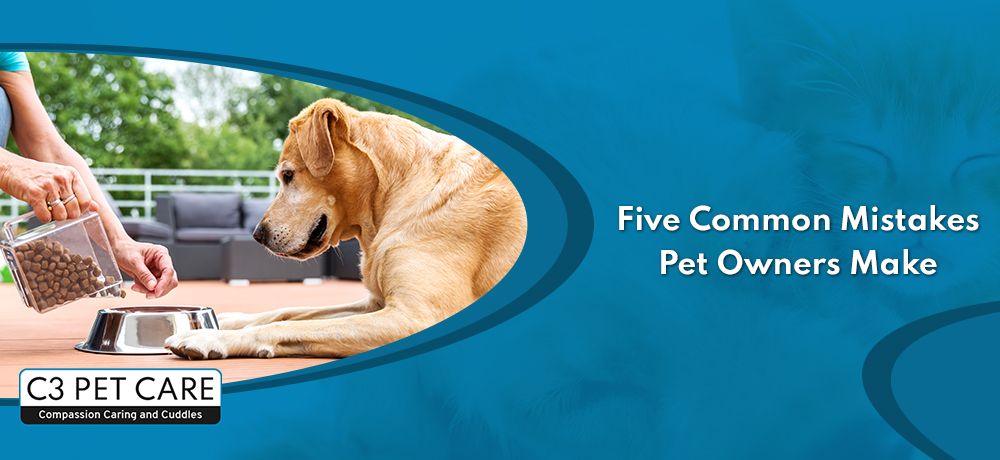 Top Five Things To Look For When Hiring A Pet Sitter Service