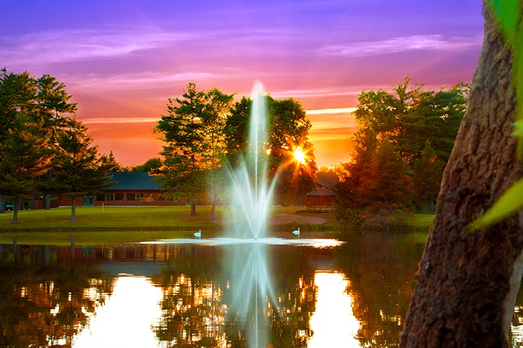 Fountain Atriarch Sunset