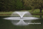 Aeration Fountain F 1000F