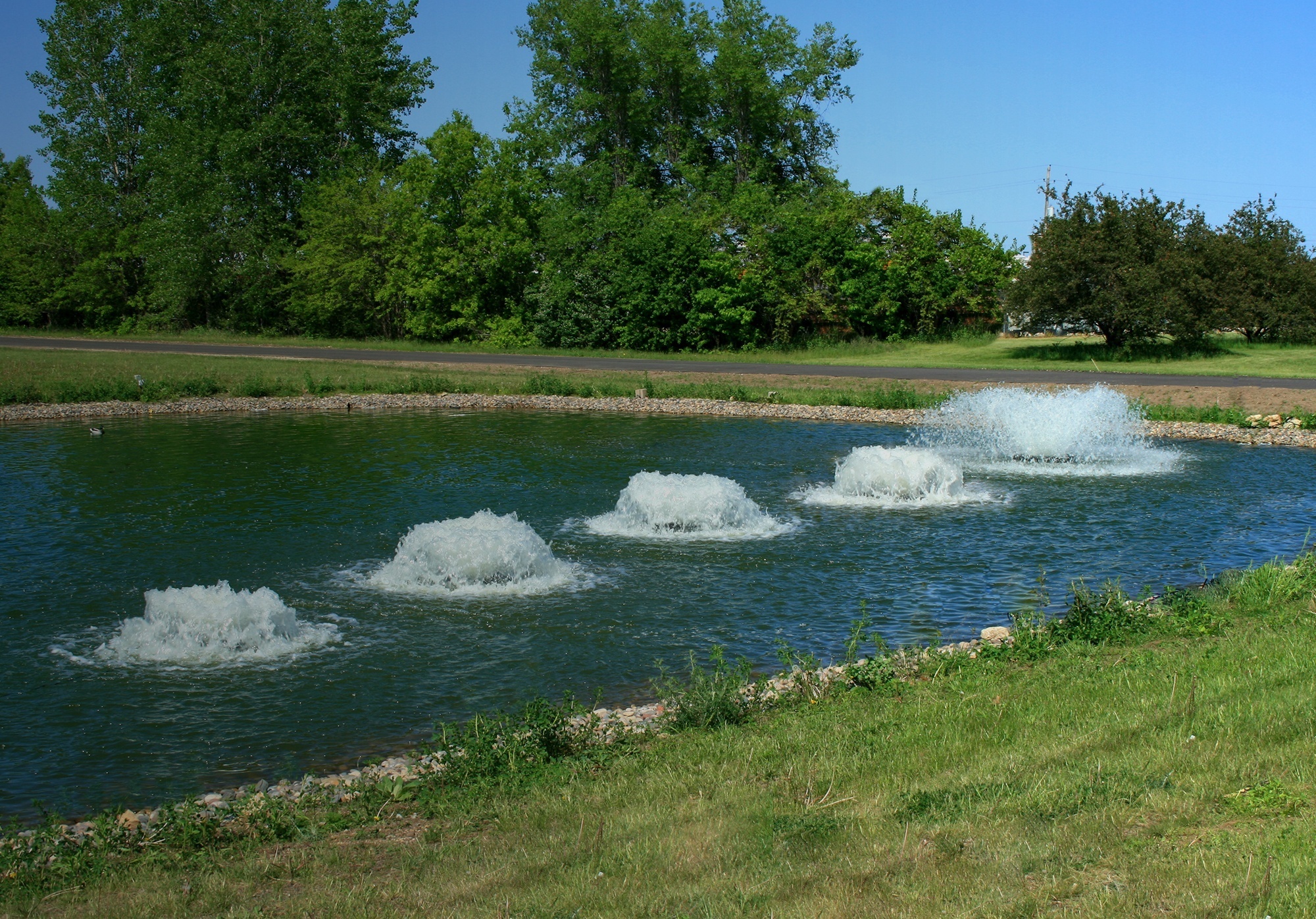 Pond and Lake Management