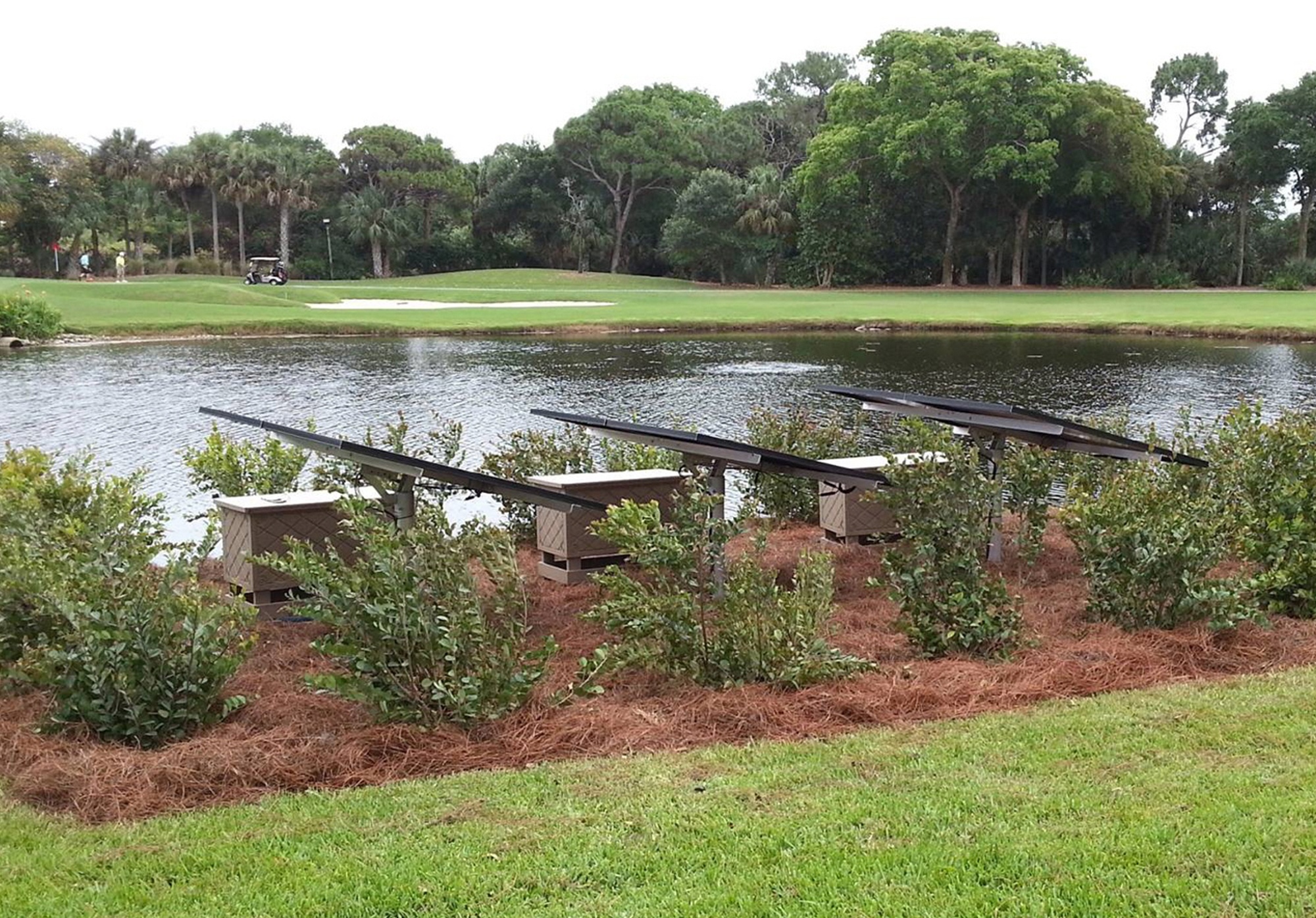 Pond and Lake Management