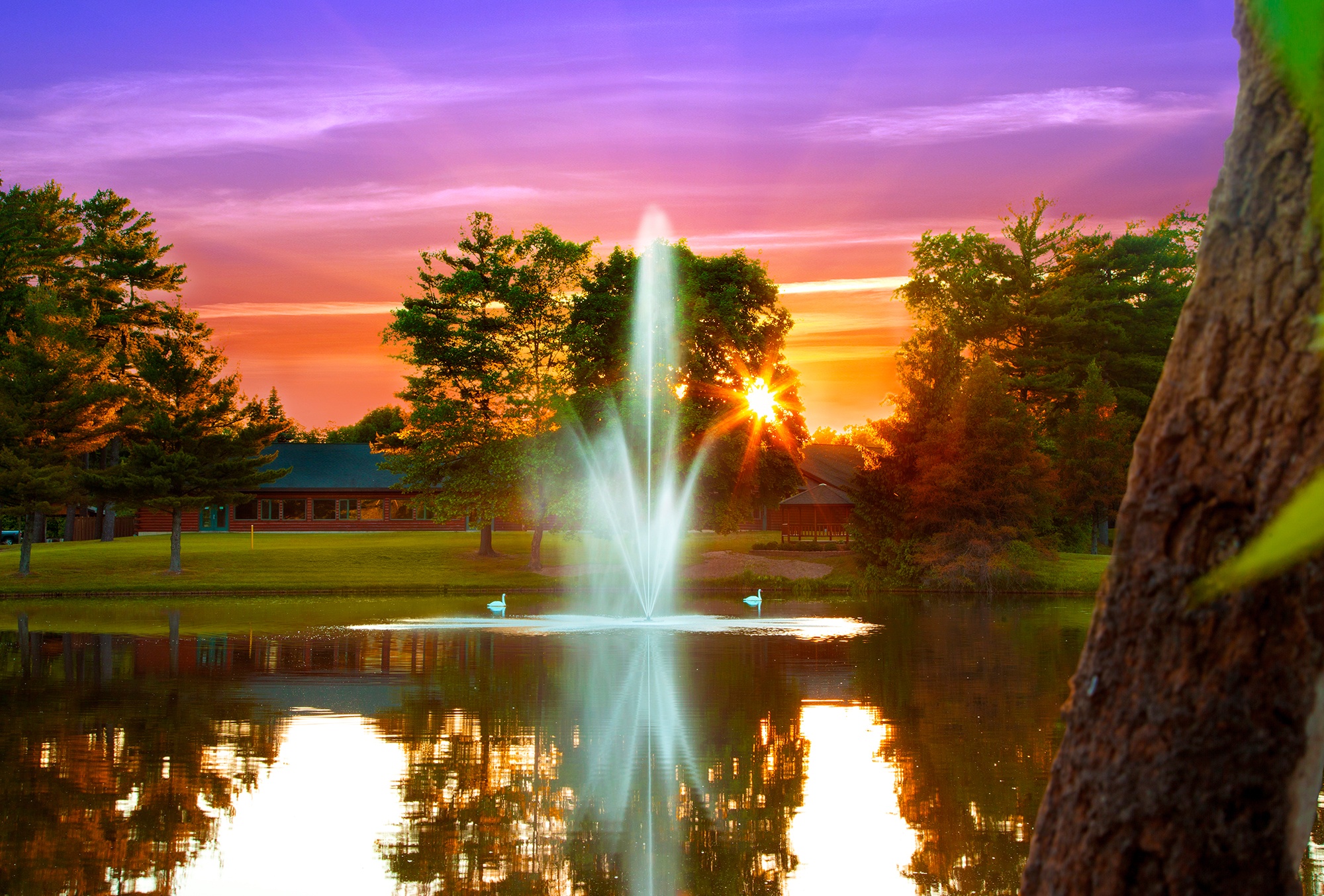 Fountain Atriarch Sunset