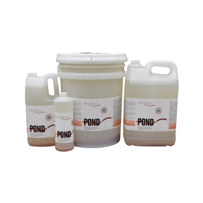 Bacterius® POND, nitrification and control of organic sediment