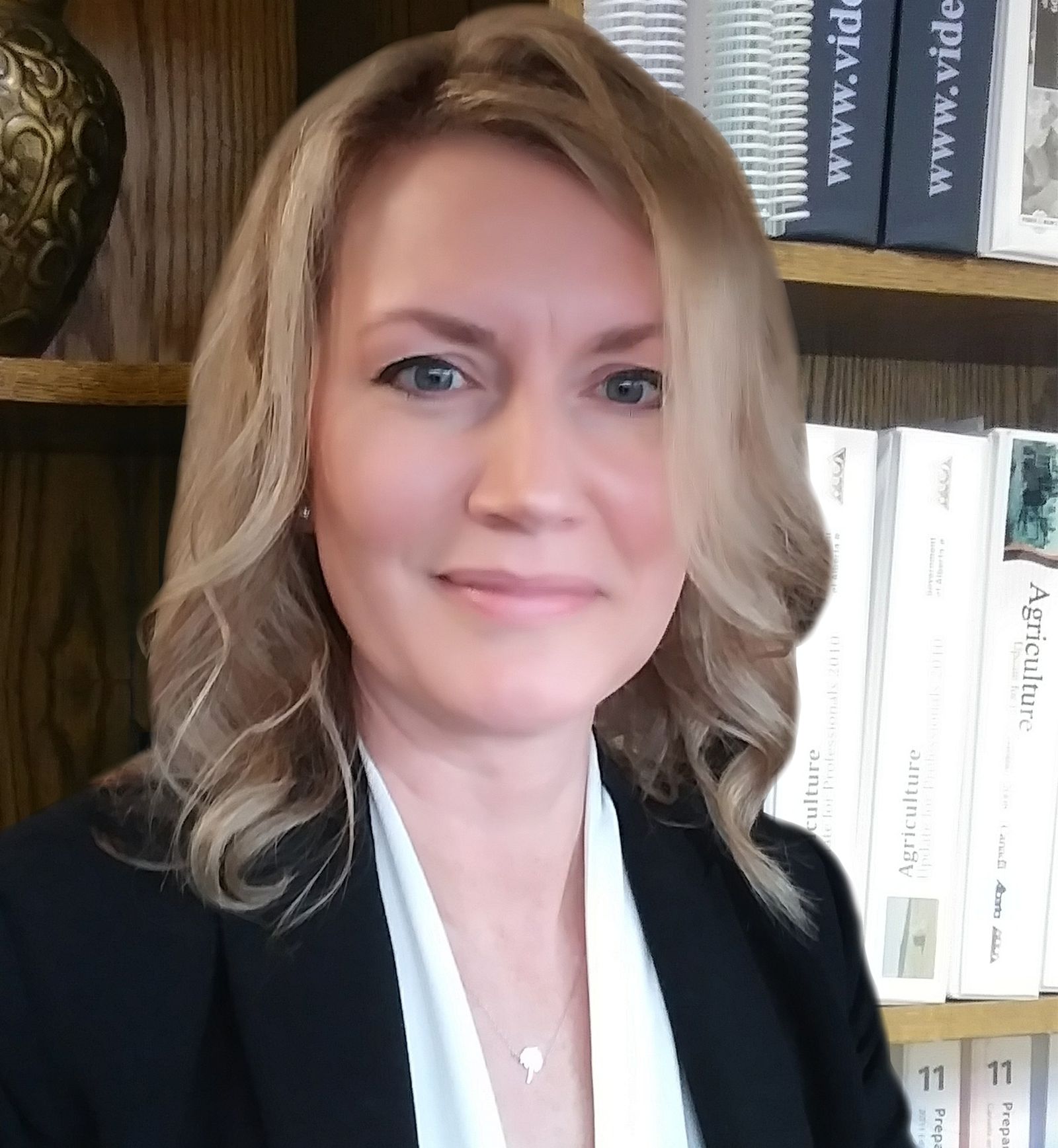 Contact Summit Strategies Chartered Professional Accountants