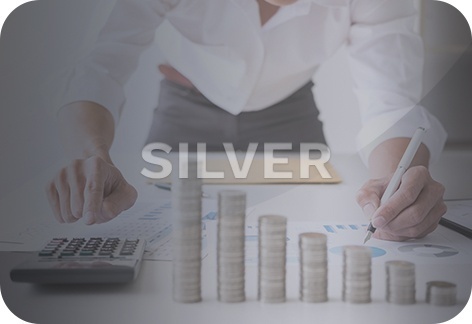 Bookkeeping Services Silver Package