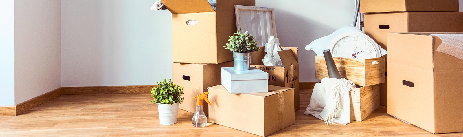 Move-In/ Move-Out Cleaning Services