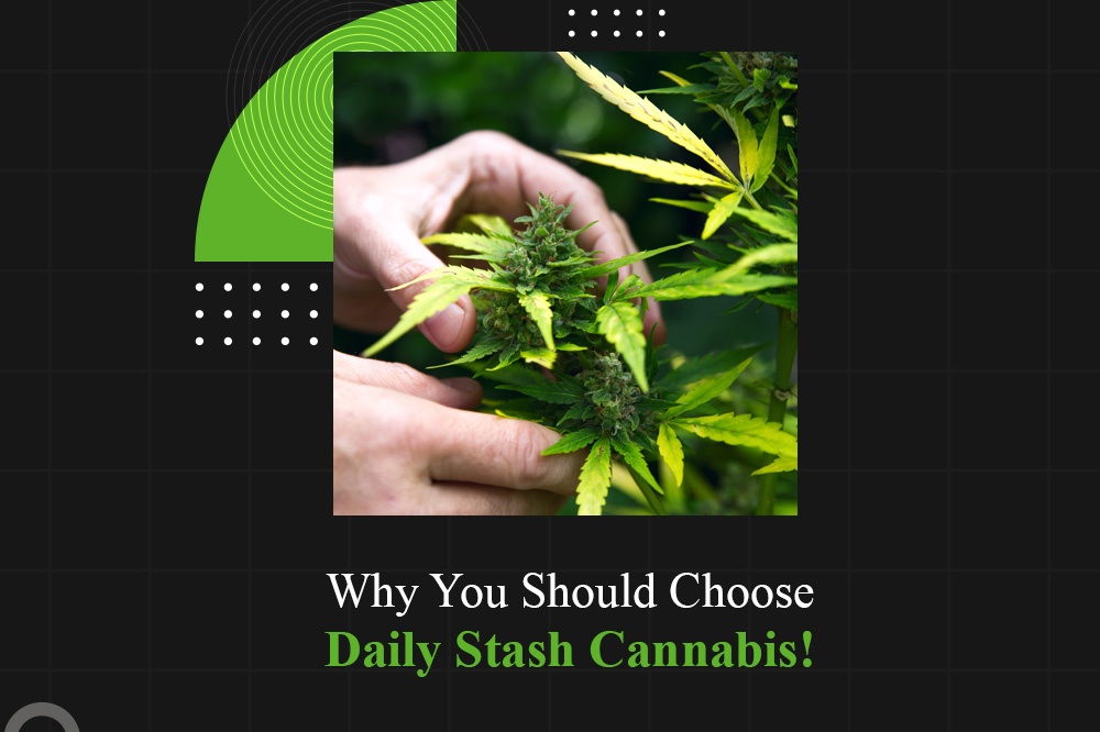 Blog by Daily Stash Cannabis