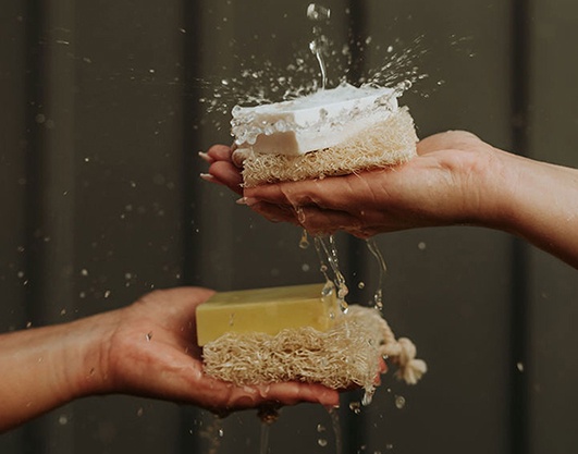 A&Z Consulting offers Import and Export of Natural Soap, Pet Accessories Non - Food Products Worldwide