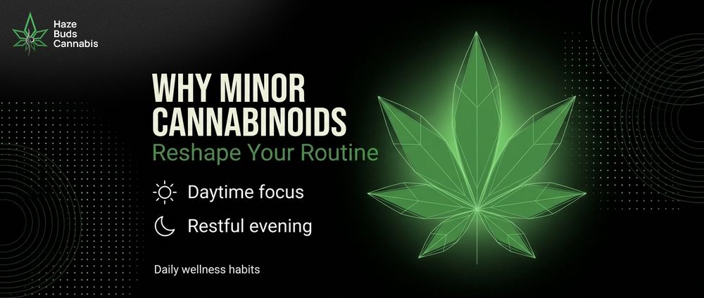 Blog by Haze Buds Cannabis