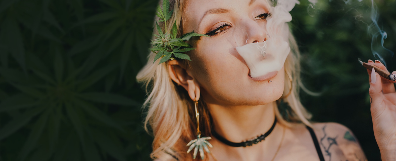 Blog by Haze Buds Cannabis