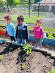 Little gardeners learning to support plants at HIDE ‘n' SEEK DAYCARE - Day Care Center in Brampton, Ontario