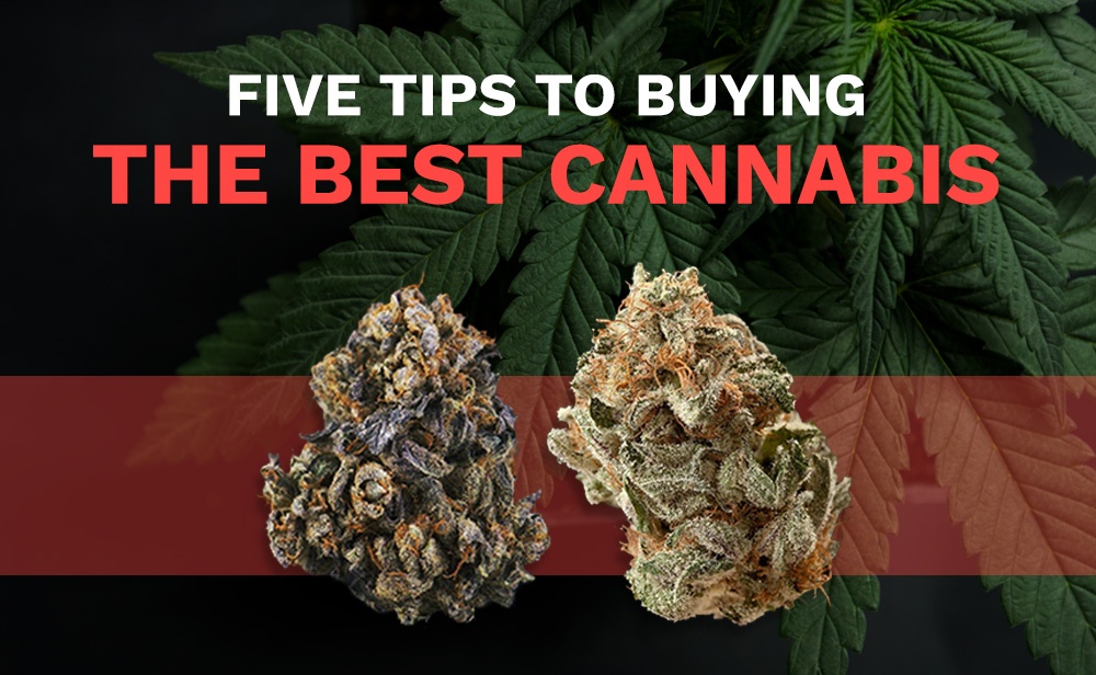 Online Weed, Marijuana, Cannabis Dispensary by GFIRE Canada 