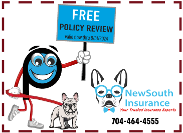 New South Insurance