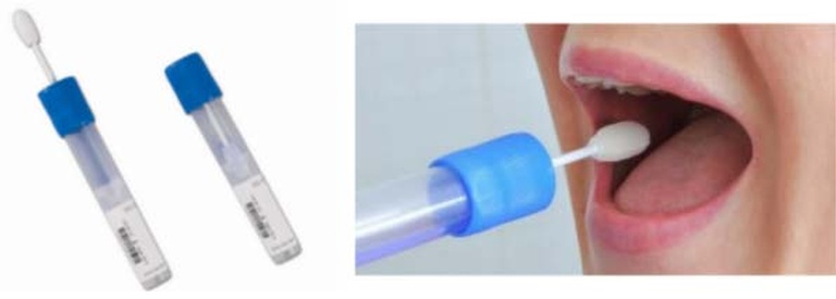 1 At-Home PCR Mouth Swab Kit