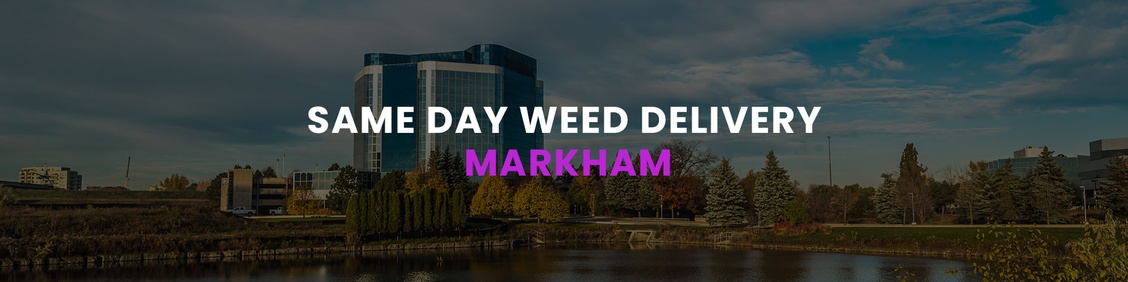 WEED/ MARIJUANA, CANNABIS DELIVERY SERVICES IN MARKHAM