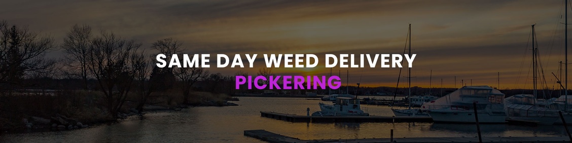 WEED/ MARIJUANA, CANNABIS DELIVERY SERVICES IN PICKERING