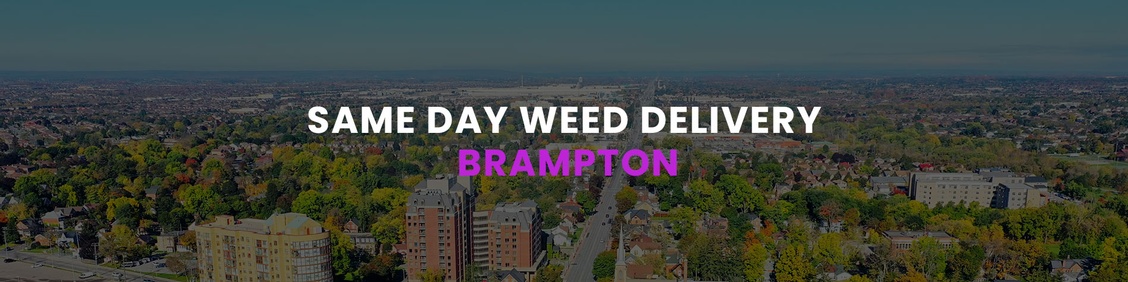 WEED/ MARIJUANA, CANNABIS DELIVERY SERVICES IN BRAMPTON
