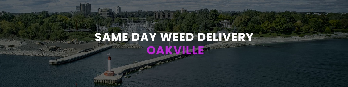 WEED/ MARIJUANA, CANNABIS DELIVERY SERVICES IN OAKVILLE