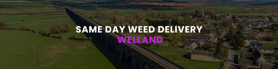 WEED/ MARIJUANA, CANNABIS DELIVERY SERVICES IN WELLAND