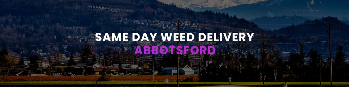 WEED/ MARIJUANA, CANNABIS DELIVERY SERVICES IN ABBOTSFORD
