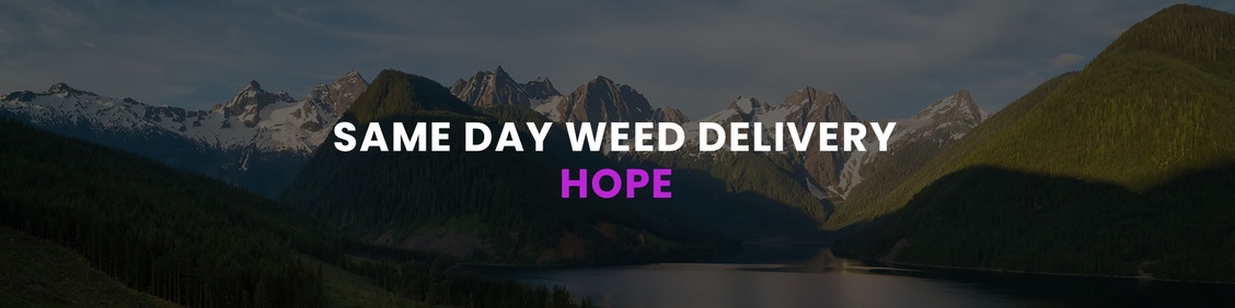 WEED/ MARIJUANA, CANNABIS DELIVERY SERVICES IN HOPE
