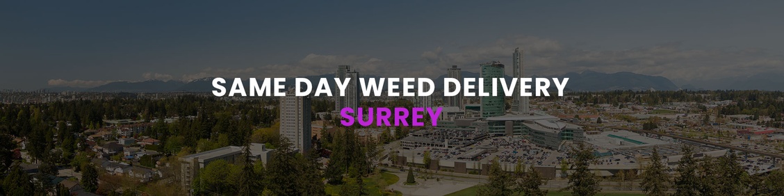 Weed/ Marijuana, Cannabis Delivery Services in Surrey