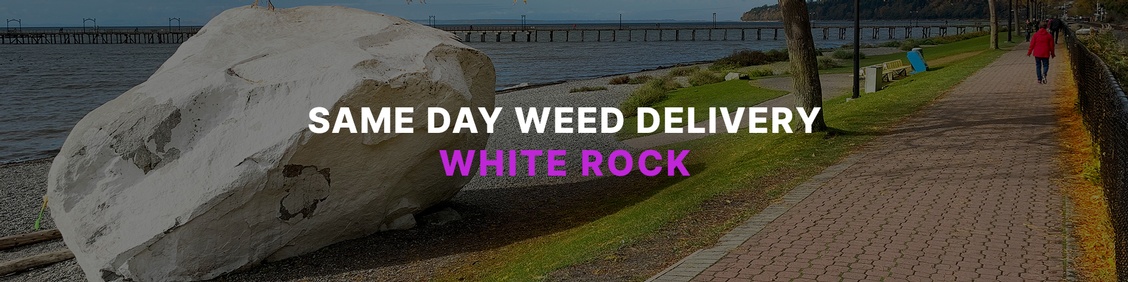 WEED/ MARIJUANA, CANNABIS DELIVERY SERVICES IN WHITE ROCK