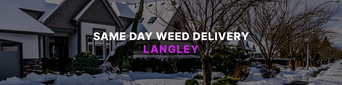 WEED/ MARIJUANA, CANNABIS DELIVERY SERVICES IN LANGLEY