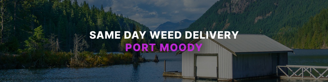 WEED/ MARIJUANA, CANNABIS DELIVERY SERVICES IN PORT MOODY
