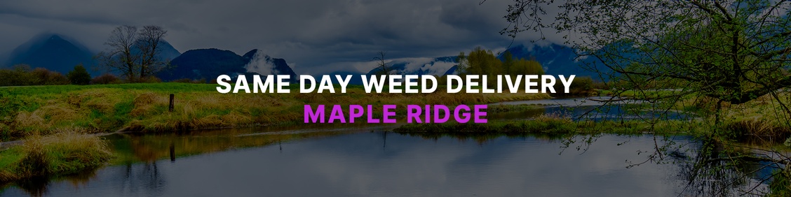 WEED/ MARIJUANA, CANNABIS DELIVERY SERVICES IN MAPLE RIDGE