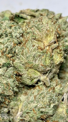 Bundy OG - Cannabis Strains Online by Best Online Cannabis Dispensary in Canada - West Coast Bud Mail