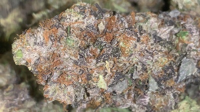 Heavy Chevy - Cannabis Strains Online by Best Online Cannabis Dispensary in Canada - West Coast Bud Mail