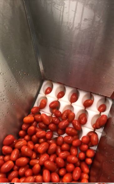 Denester Improvement 