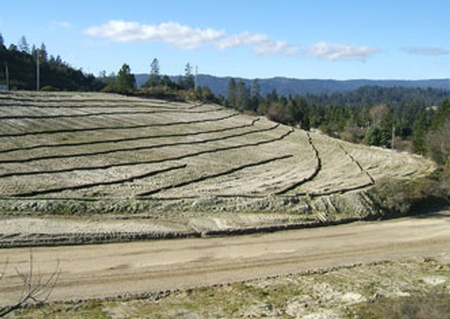Irrigation Systems Santa Cruz